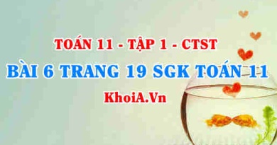 Bài 6 trang 19 SGK Toán 11 Tập 1 Chân trời sáng tạo